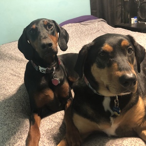 Fundraising Page: Elise Grover